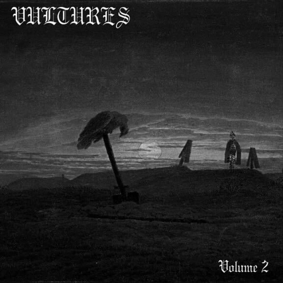 VULTURES 2 cover art