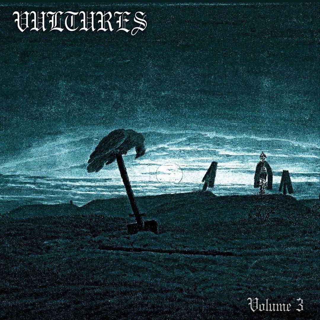 VULTURES 3 cover art